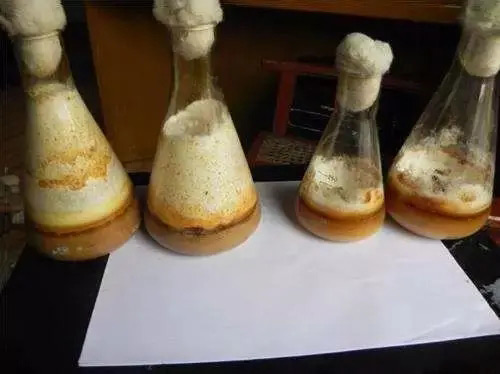 發酵消泡劑應用場景圖