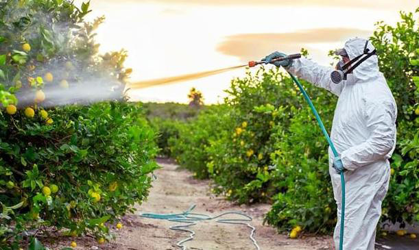 農業消泡劑應用場景圖