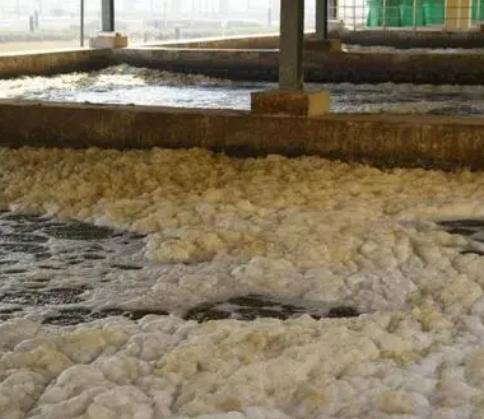 聚醚消泡劑應用場景圖